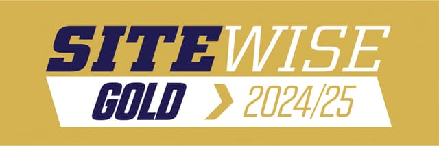 Site Wise Logo